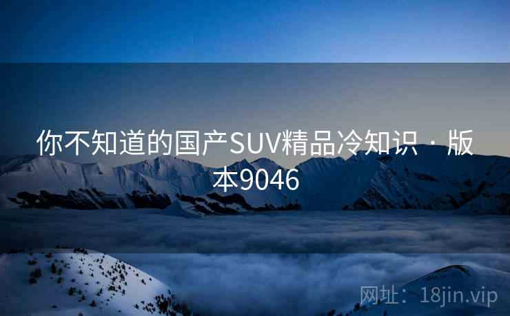 你不知道的国产SUV精品冷知识 · 版本9046  第2张