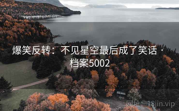 爆笑反转：不见星空最后成了笑话 · 档案5002  第2张