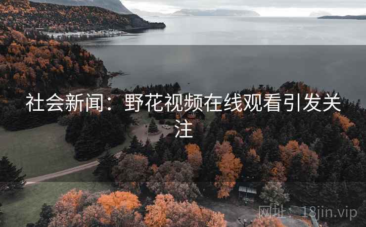 社会新闻：野花视频在线观看引发关注