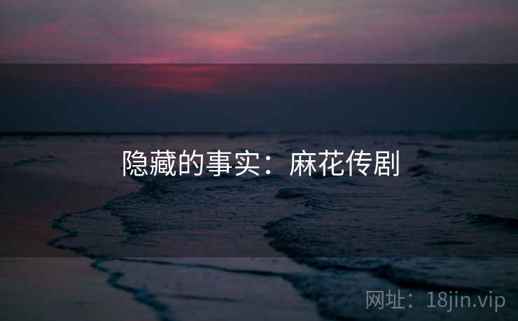 隐藏的事实：麻花传剧  第2张