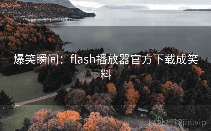 爆笑瞬间：flash播放器官方下载成笑料