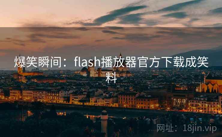 爆笑瞬间:flash播放器官方下载成笑料 第2张 爆笑瞬间:flash播放器官方下载成笑料 第2张